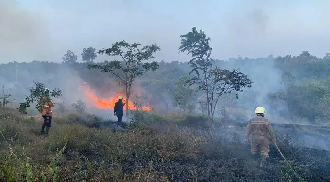 Kobaran Api Melahap Lahan Seluas Delapan Hektare  di Kabupaten Bintan